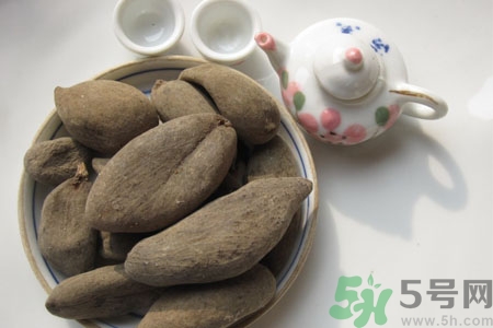 五倍子能治早泄嗎？五倍子的副作用有哪些？