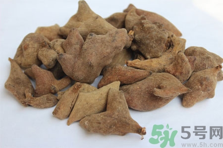 五倍子能治早泄嗎？五倍子的副作用有哪些？