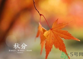 秋分吃什么？秋分吃什么水果？
