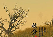 秋分吃什么？秋分吃什么水果？