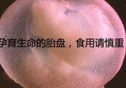 寶寶胎盤(pán)怎么處理比較好？?寶寶胎盤(pán)的功效與作用