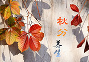 秋分喝什么茶？秋分養(yǎng)生茶飲推薦