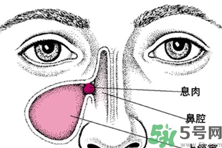 鼻子不通氣是怎么回事？鼻子不通氣怎么辦？