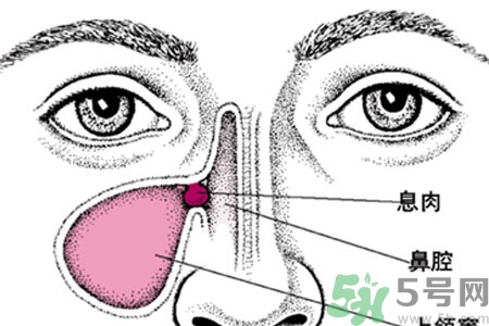 鼻子出血怎么辦？鼻子出血的原因是什么？