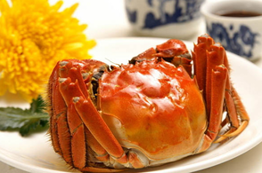 螃蟹什么季節(jié)最好吃？螃蟹幾月份吃最好？