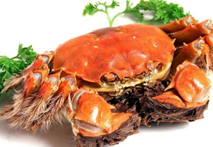 螃蟹什么季節(jié)最好吃？螃蟹幾月份吃最好？