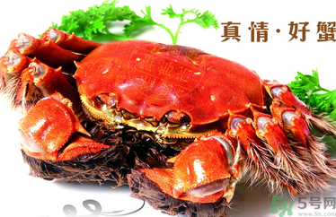 螃蟹什么時(shí)候吃最好？吃螃蟹的最佳時(shí)間 