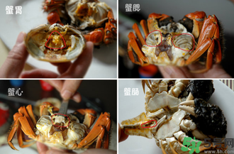 陽(yáng)澄湖大閘蟹怎么吃？食陽(yáng)澄湖大閘蟹注意事項(xiàng)