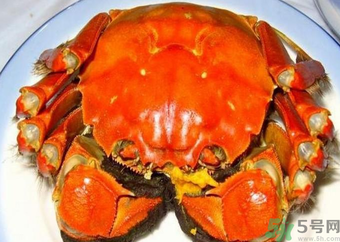 大閘蟹什么季節(jié)吃最好？吃大閘蟹的季節(jié)