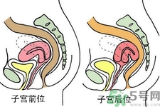 子宮移位的原因是什么？子宮移位的癥狀有哪些？
