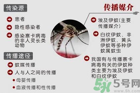 寨卡病毒是如何傳播的？寨卡病毒傳播途徑是什么？