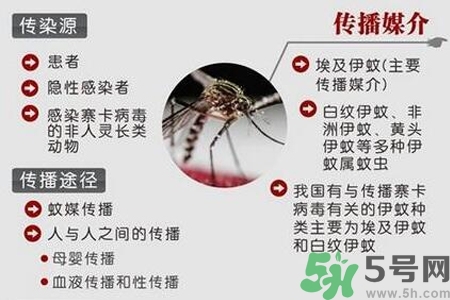 寨卡病毒會死人嗎？寨卡病毒會死嗎？