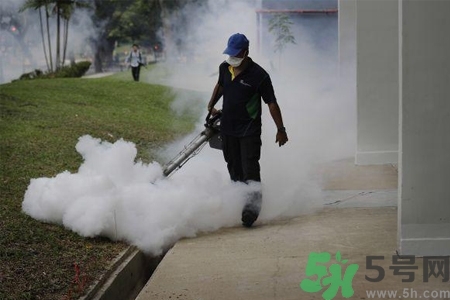 寨卡病毒會死人嗎？寨卡病毒會死嗎？