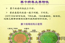 寨卡病毒對孕婦有危害嗎？寨卡病毒對孕婦的危害有哪些？