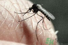寨卡病毒對(duì)兒童的影響有哪些？寶寶如何避免及預(yù)防？