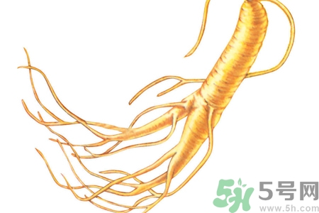 人參怎么吃效果最好？人參的做法大全