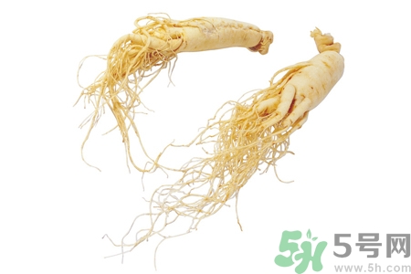 人參怎么吃效果最好？人參的做法大全