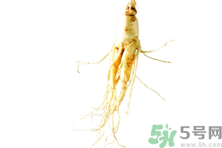 人參怎么吃效果最好？人參的做法大全