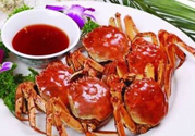 陽(yáng)澄湖大閘哪個(gè)牌子好？陽(yáng)澄湖大閘蟹哪個(gè)牌子是正宗的？