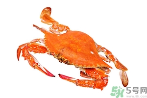 懷孕期間能吃螃蟹嗎？吃螃蟹會影響懷孕嗎？