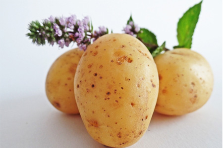 發(fā)芽的土豆怎么吃？土豆發(fā)芽了把芽削掉能吃嗎？