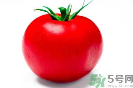 番茄和西紅柿有什么區(qū)別？番茄和西紅柿一樣嗎？