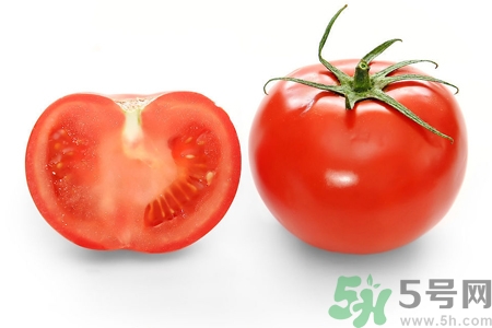 番茄和西紅柿有什么區(qū)別？番茄和西紅柿一樣嗎？