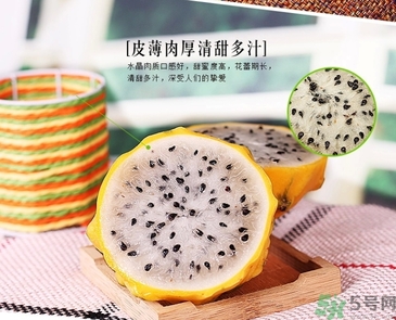 黃龍果多少錢(qián)一斤？黃龍果的功效作用