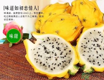 黃龍果多少錢(qián)一斤？黃龍果的功效作用