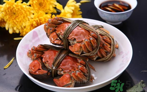 海蟹什么時候最肥？海蟹什么時候吃最好？