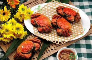 大閘蟹哪個(gè)品牌好？什么牌子的大閘蟹好吃？