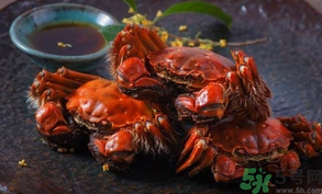 陽澄湖大閘蟹死了還能吃嗎？陽澄湖大閘蟹死了為什么不能吃？