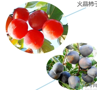 黑柿的營(yíng)養(yǎng)價(jià)值及功效 黑柿怎么吃？