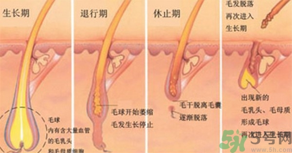 紋眉后要補色嗎？紋眉后多久可以補色？