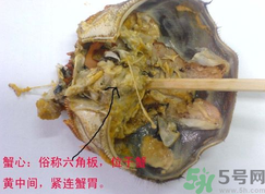 梭子蟹哪些部位不能吃？梭子蟹哪些人不能吃？