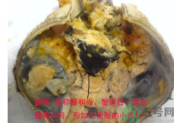 梭子蟹哪些部位不能吃？梭子蟹哪些人不能吃？