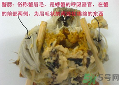 梭子蟹哪些部位不能吃？梭子蟹哪些人不能吃？