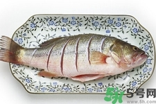 秋季適合吃什么魚？秋季吃魚的好處？