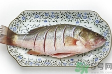 如何挑選新鮮魚？怎樣吃到不被污染的魚？