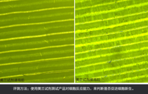 sk2大眼眼霜怎么樣？sk2大眼眼霜好用嗎？
