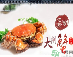 陽澄湖大閘蟹為什么出名？陽澄湖大閘蟹出名的原因