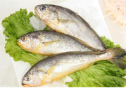 如何挑選新鮮魚(yú)？怎樣吃到不被污染的魚(yú)？