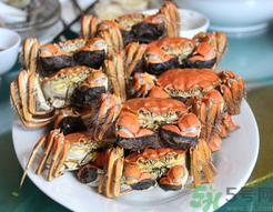 陽(yáng)澄湖大閘蟹和普通大閘蟹的區(qū)別？陽(yáng)澄湖大閘蟹比普通大閘蟹好在哪里？