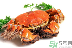 陽(yáng)澄湖大閘蟹是河蟹嗎？陽(yáng)澄湖大閘蟹和河蟹的區(qū)別