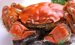陽澄湖大閘蟹好吃嗎？陽澄湖大閘蟹為什么好吃？