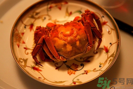 陽(yáng)澄湖大閘蟹哪里買？哪里能買到正宗的陽(yáng)澄湖大閘蟹？