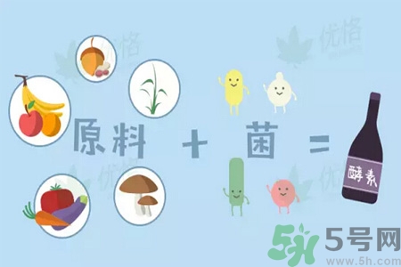酵素什么時(shí)候吃最減肥？酵素減肥有用嗎？