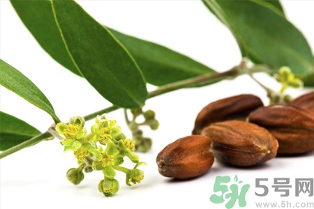 荷荷巴油可以直接擦臉嗎？荷荷巴油怎么去黑頭？