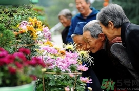 重陽節(jié)是陰歷還是陽歷？重陽節(jié)是什么意思？