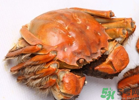 河蟹死了一天能吃嗎？河蟹死了多久不能吃？